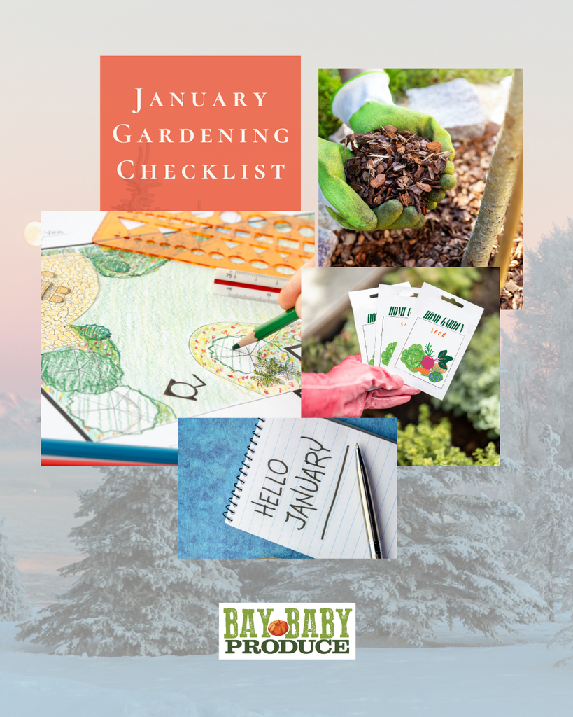 January Gardening Checklist