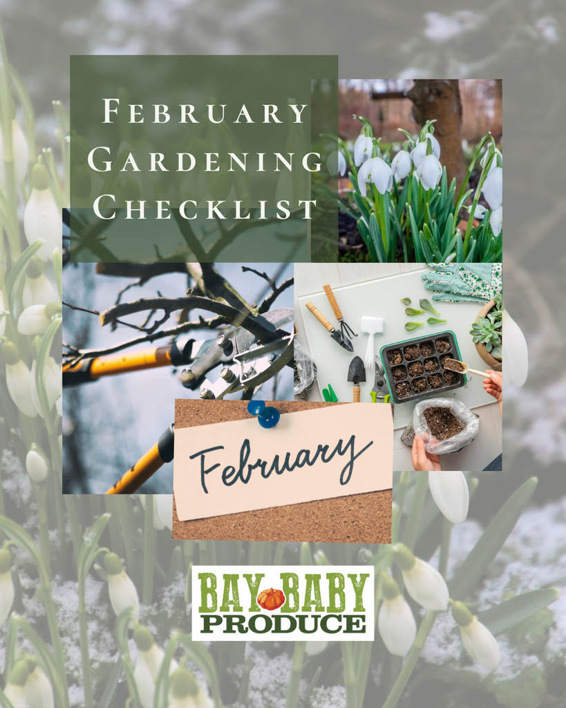 February Hobby Gardening Checklist