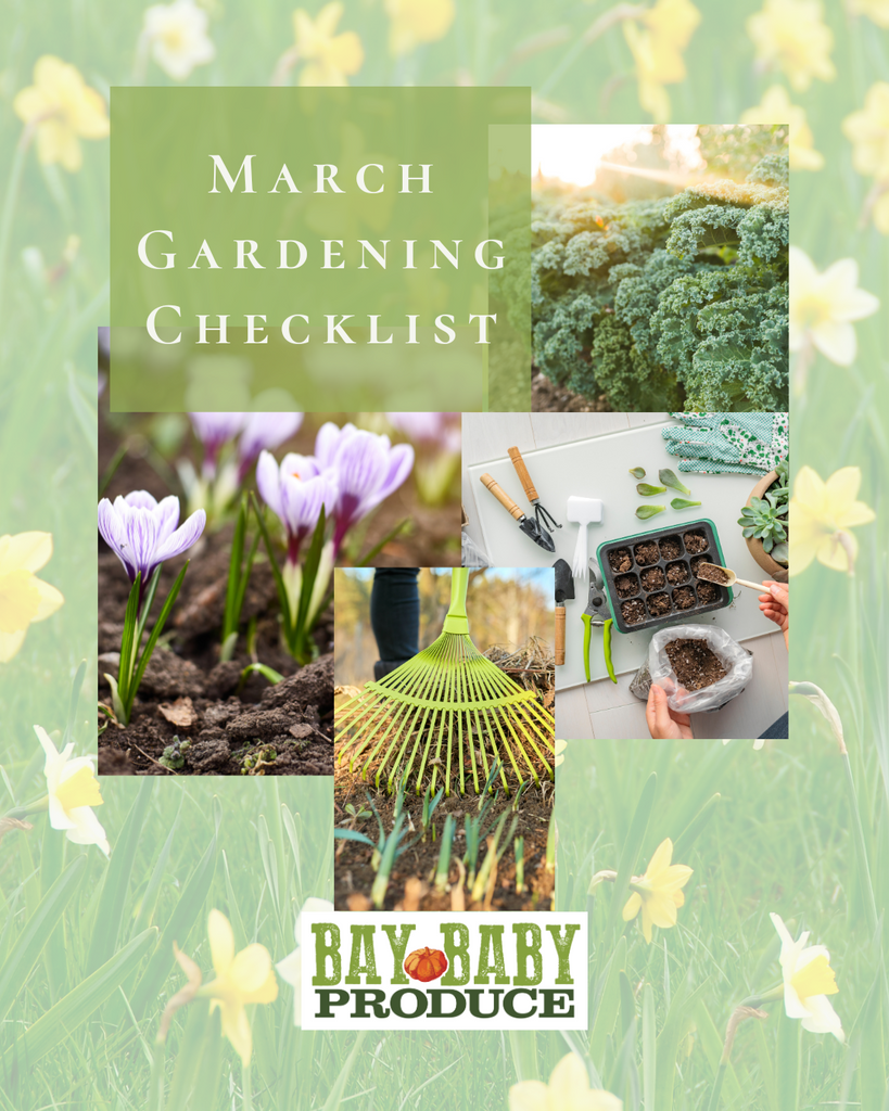 March Gardening Check List: Embrace the Green Thumb Magic