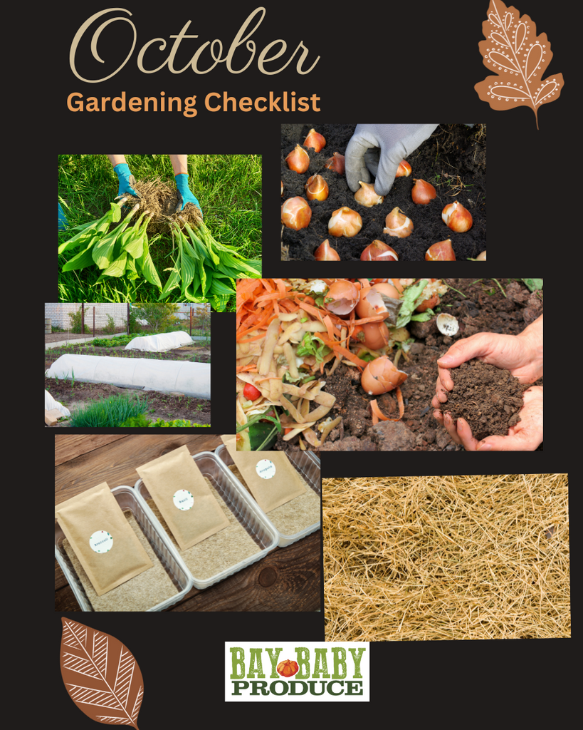 October Hobby Gardening Checklist: Getting Ready for FALL and Halloween