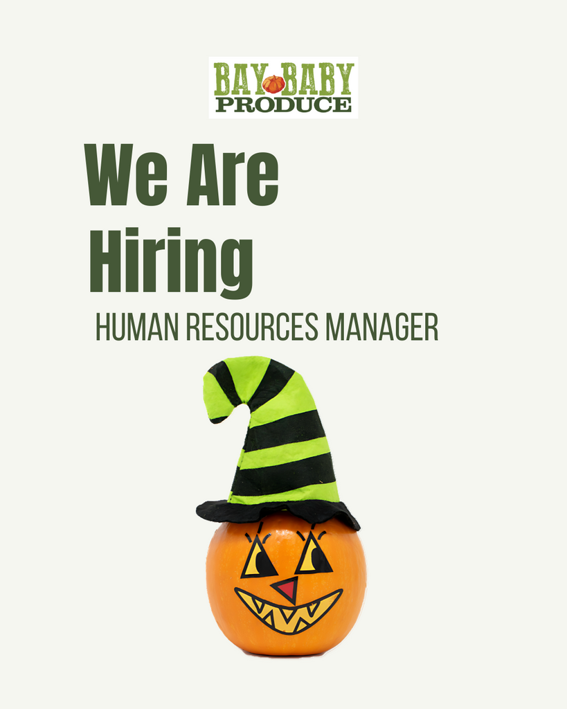 Now Hiring: Human Resources Manager