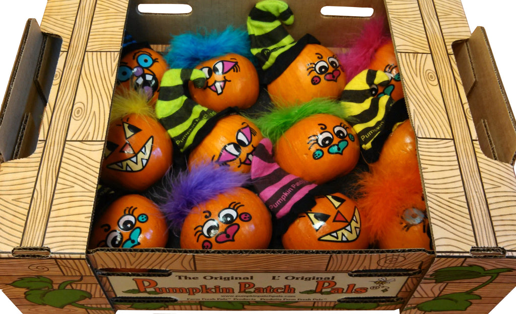 6 CT Original Pumpkin Patch Pals