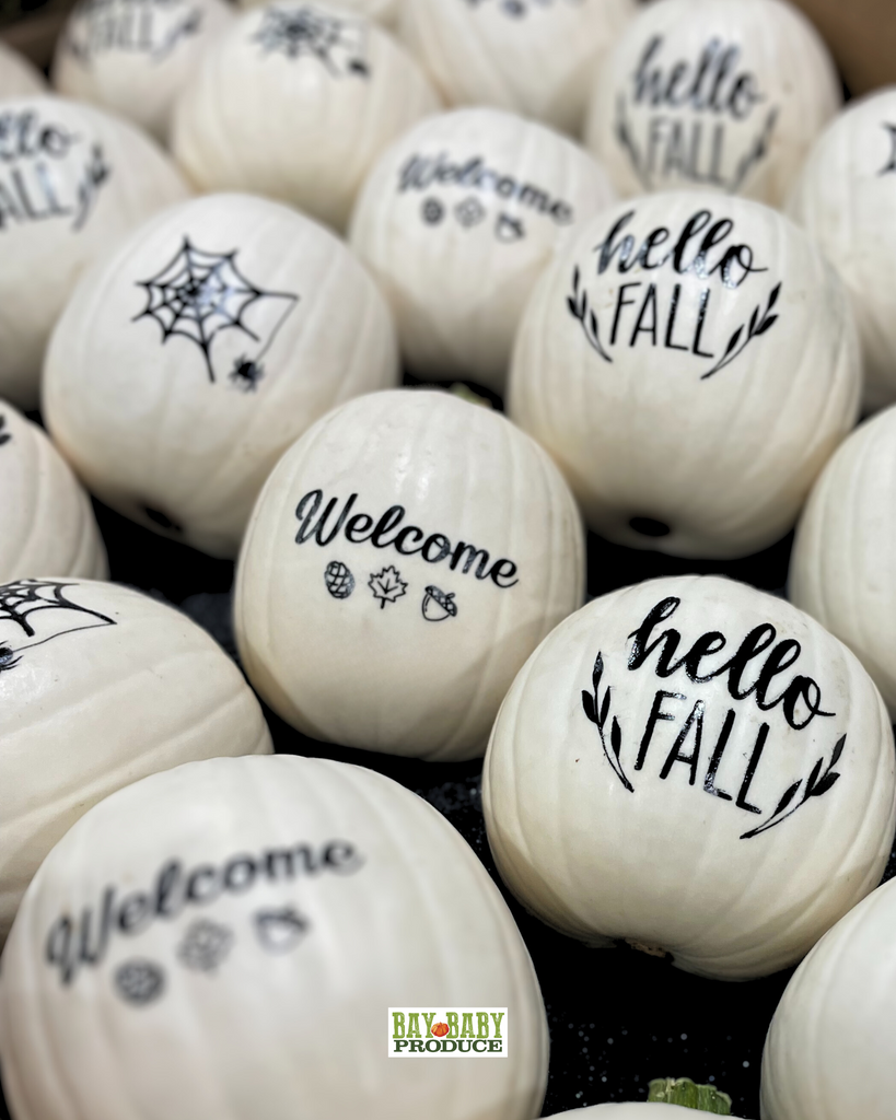 12 CT Painted White Luna Silhouette Pumpkins