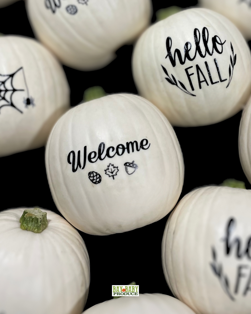 12 CT Painted White Luna Silhouette Pumpkins