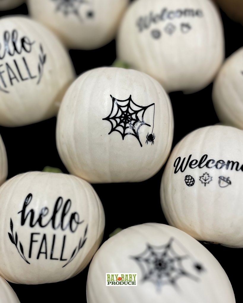 12 CT Painted White Luna Silhouette Pumpkins