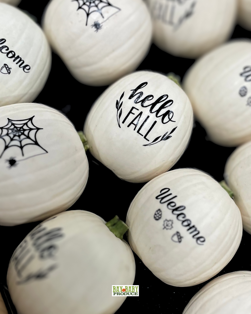 12 CT Painted White Luna Silhouette Pumpkins