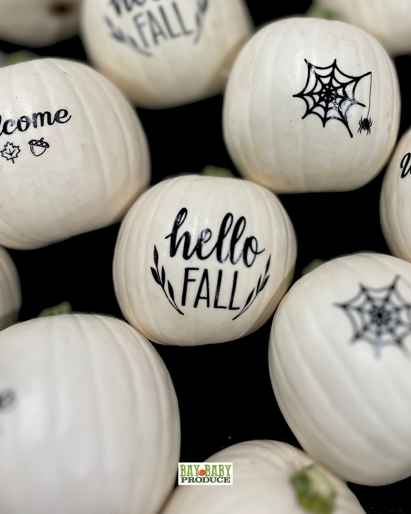 12 CT Painted White Luna Silhouette Pumpkins