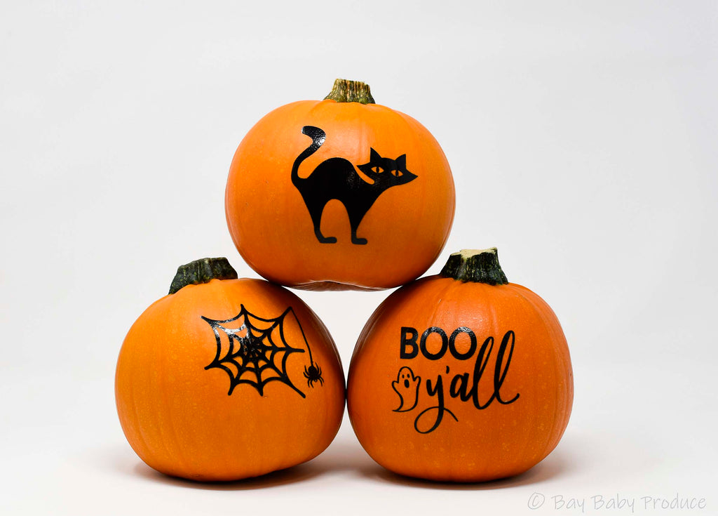 6 CT Painted Silhouette Pumpkins