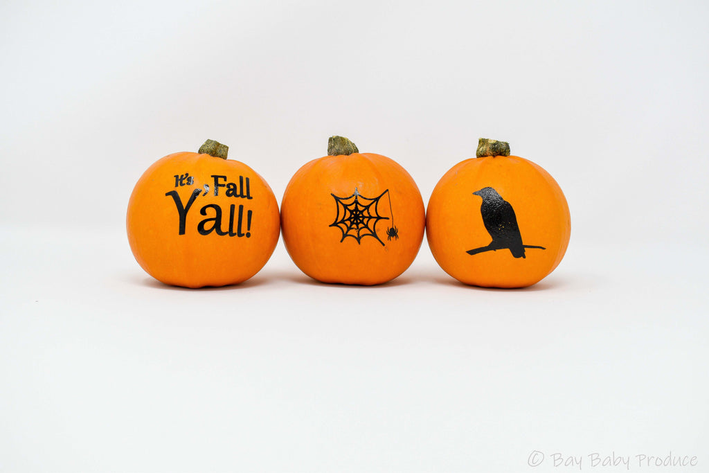 6 CT Painted Silhouette Pumpkins