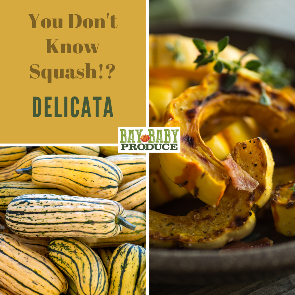 2 CT Organic Delicata with Recipe