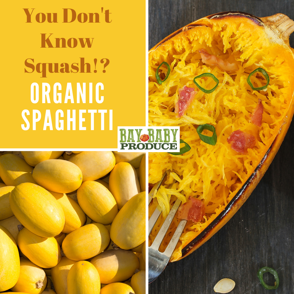 2 CT Organic Spaghetti Squash with Recipe